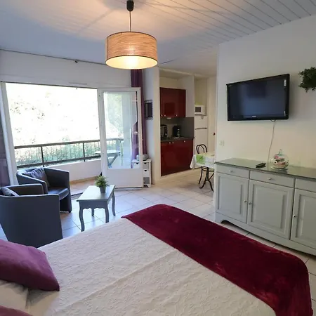 Locations Standing Amelie-les-bains Apartment Amelie-les-Bains-Palalda