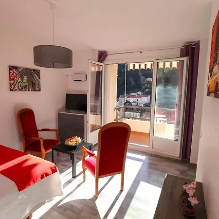 Locations Standing Amelie-les-bains Apartment