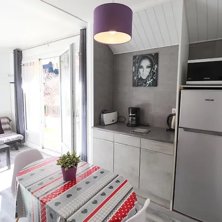 Locations Standing Amelie-les-bains Apartment
