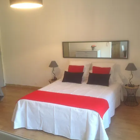 Locations Standing Amelie-les-bains Apartment